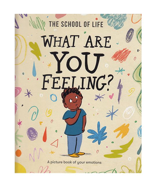 What Are You Feeling?: A picture book of your emotions