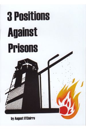 Three Positions Against Prisons