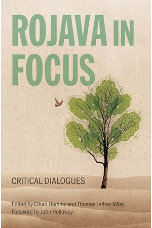 Rojava in Focus (Ebook)