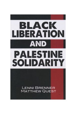 Black Liberation and Palestine Solidarity e-book