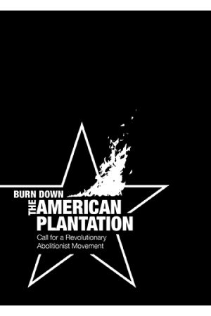 Burn Down the American Plantation