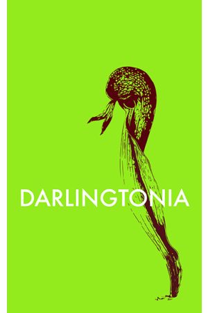 Darlingtonia