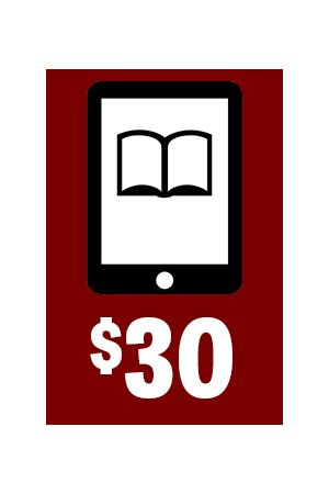 Friends of AK Press E-book Subscription - $30/month