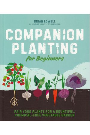 Companion Planting for Beginners