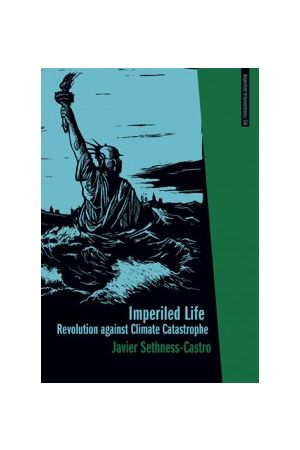 Imperiled Life e-book