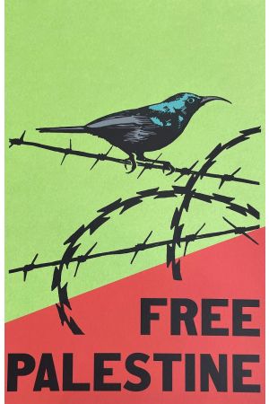 Free Palestine Sunbird (Print)