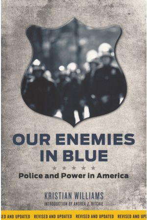 Our Enemies in Blue e-book