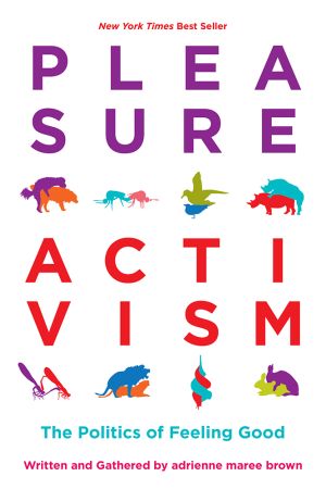 Pleasure Activism e-book