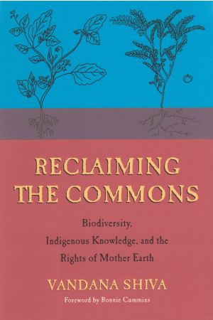 Reclaiming the Commons