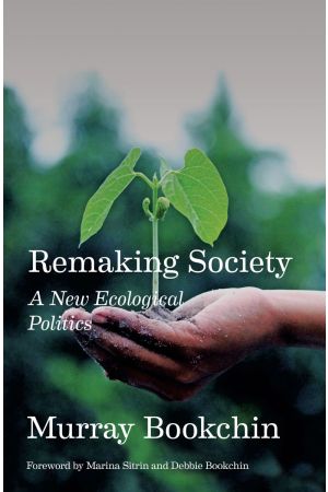 Remaking Society Ebook