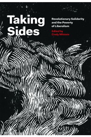 Taking Sides e-book